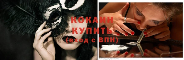 сатива Вяземский